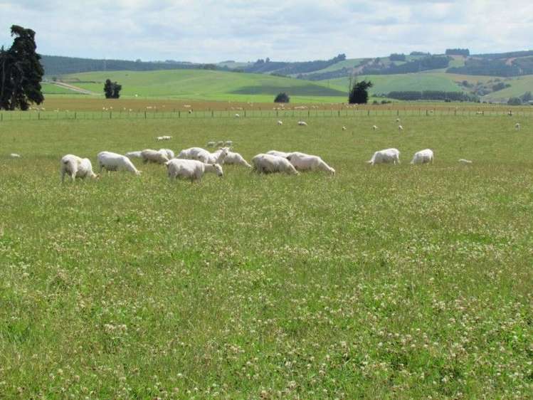 734 Crichton Road Milton_9