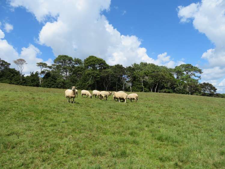 86 Brookby Road Brookby_15