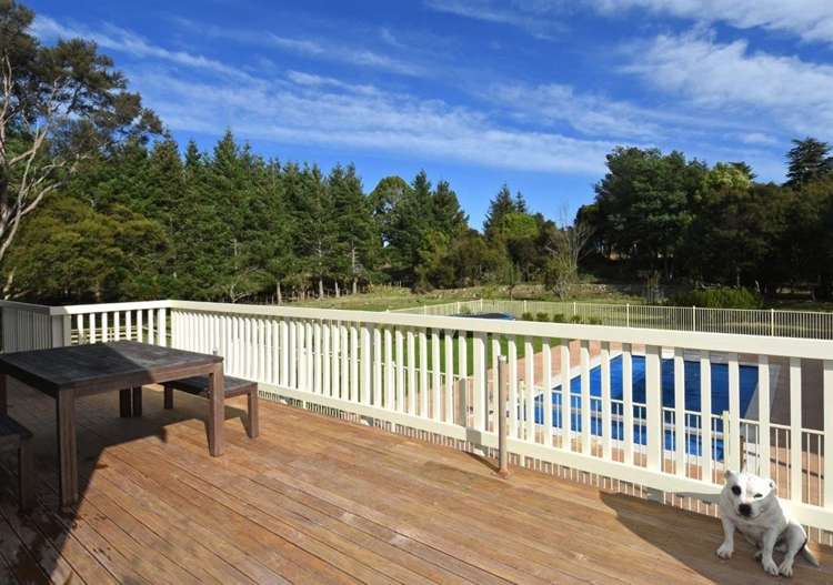 578 Norfolk Road Upper Plain_11