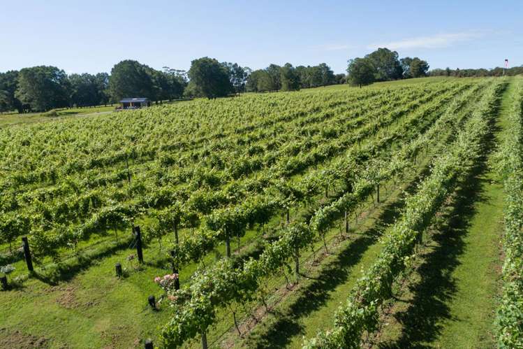 165A Waimate North Road Kerikeri_15