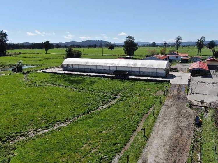 19 Cropp Road Kowhitirangi_10