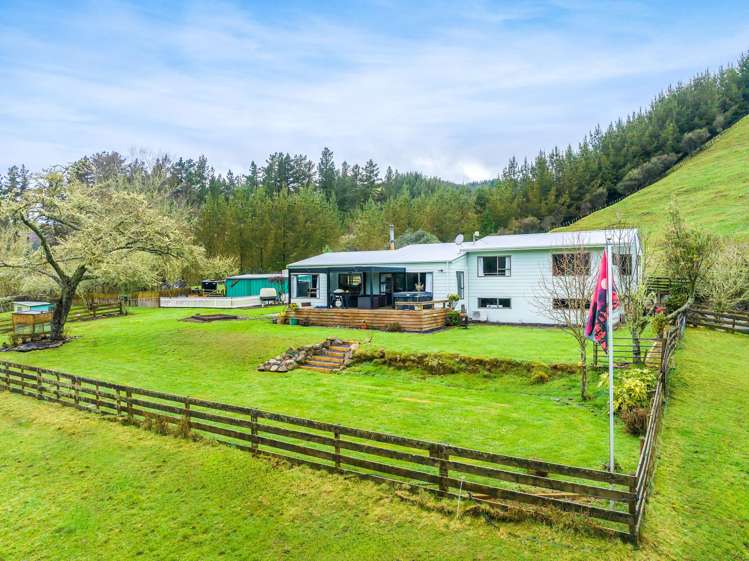 795 Oio Road Owhango_0