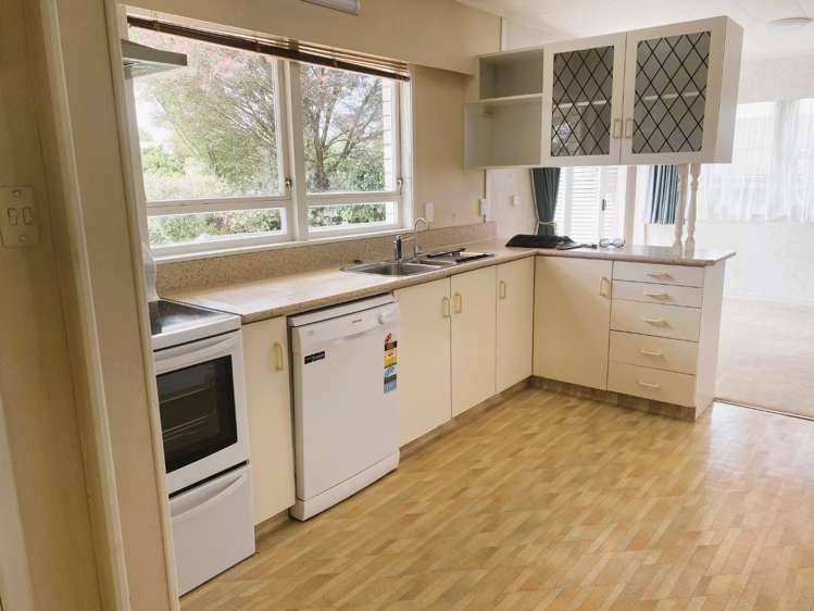 1a Osborne Avenue Morrinsville_3