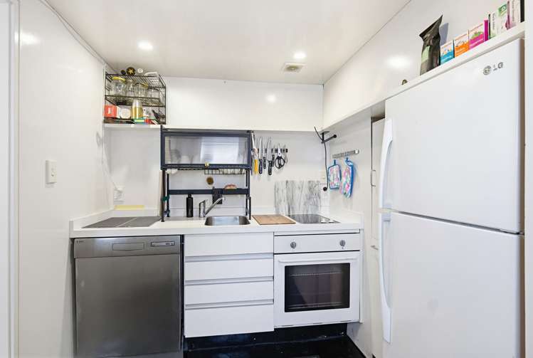 21 Saint Mary Street Thorndon_17