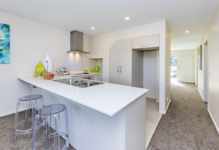 49 Divide Loop Takanini_5