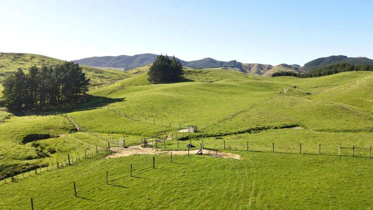 129 Speedy Road Dannevirke_12