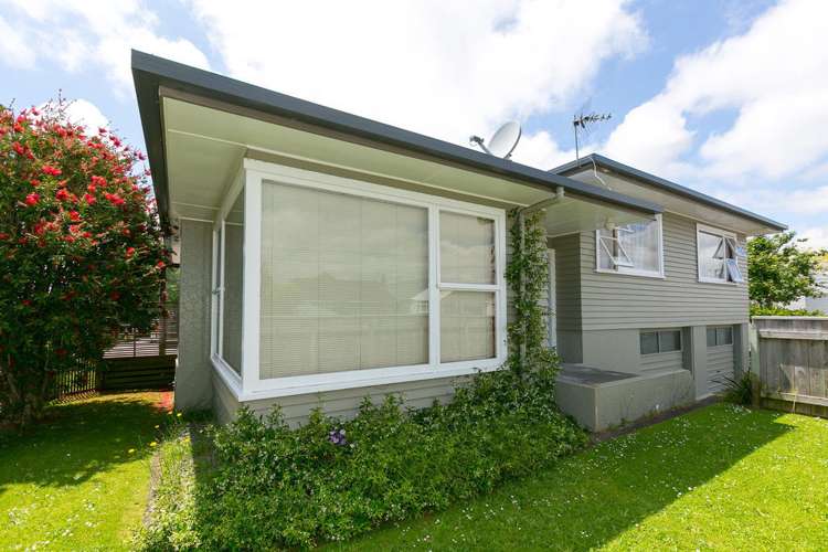 245 Carrington Street Vogeltown_16