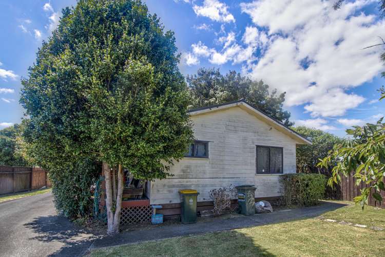 231 Finlayson Avenue Clendon Park_16