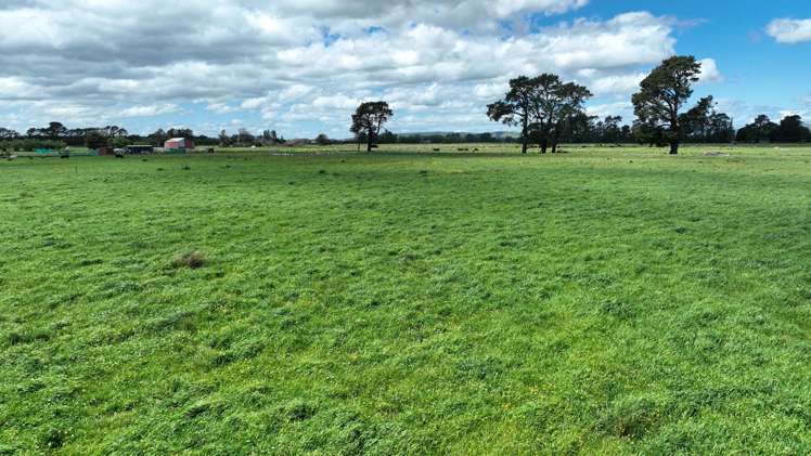 Duddings Line Tauherenikau_3