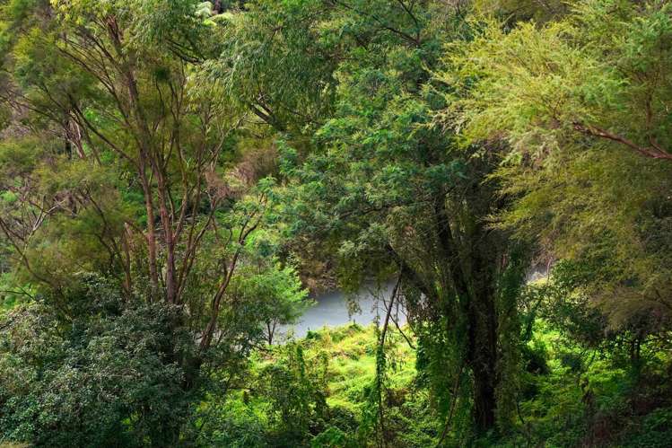 16 Naumai Crescent Mangamahu_11