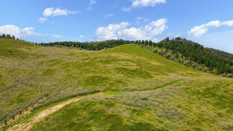 46 Relph Road Ngongotaha Valley_19