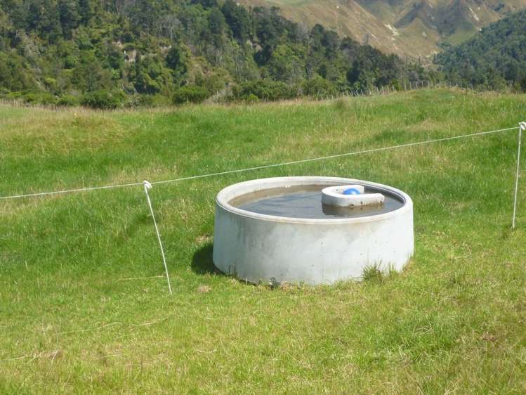 258 Okahutiria Road Waverley_22