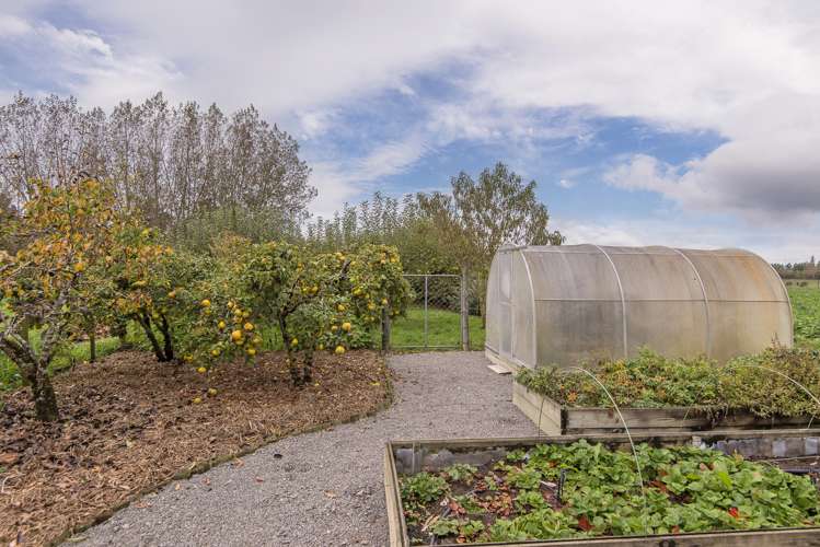 62 Harrs Road Swannanoa_7