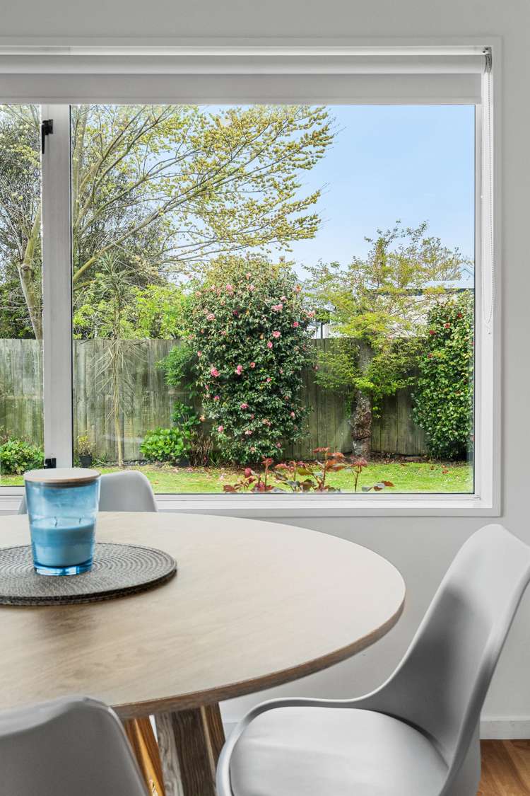 12 McLeish Lane Spreydon_11