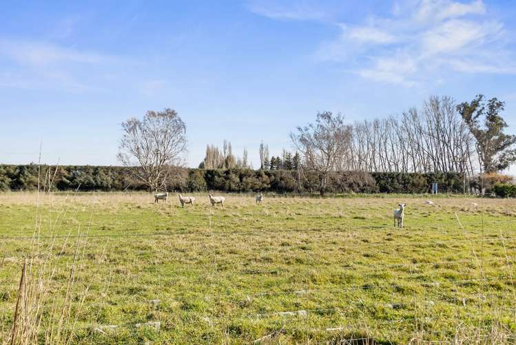 8 Arowhenua Station Road Levels_18