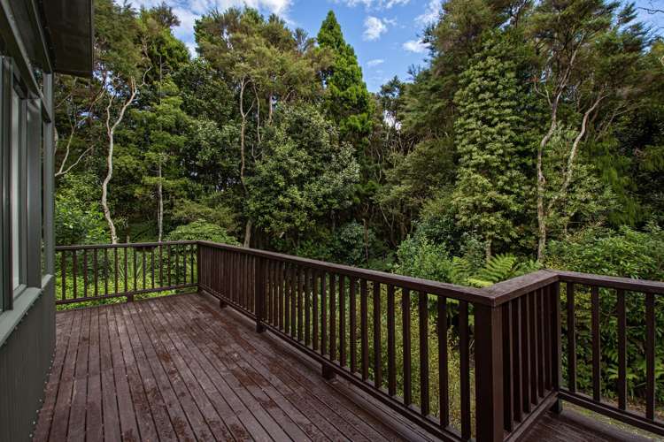 132 Mt Tiger Road Whareora_26