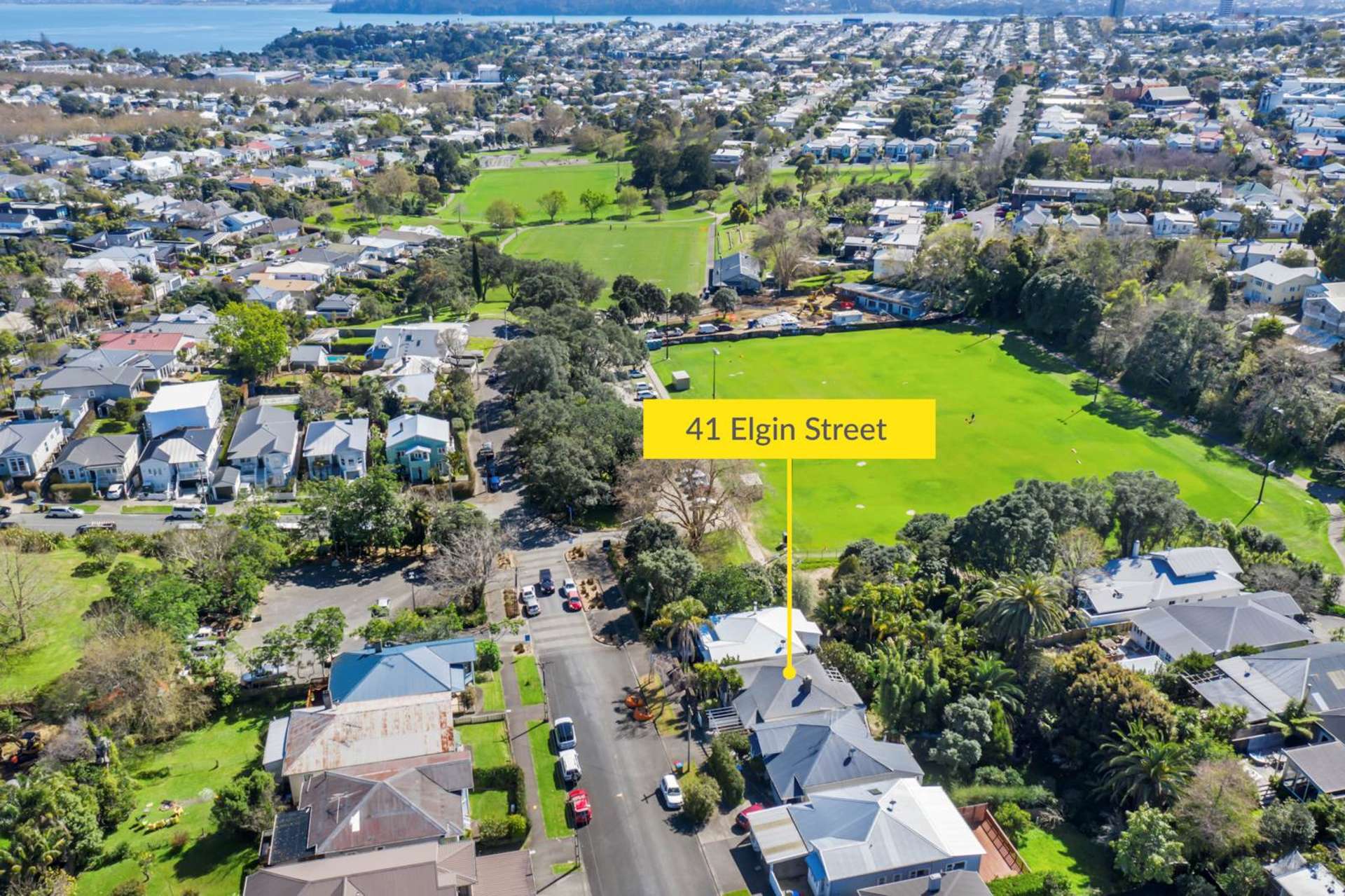 41 Elgin Street Grey Lynn_0