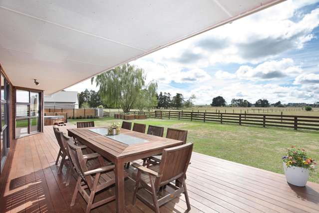 455b State Highway 1 Bulls_1