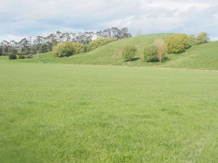 93 Bird Road Central Hawkes Bay Country_13