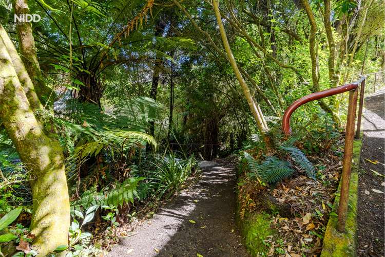 60 Montague Street North East Valley_16