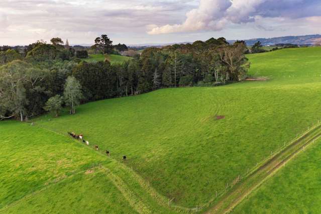 Lot 9/50 Bush Road Pukekohe_2