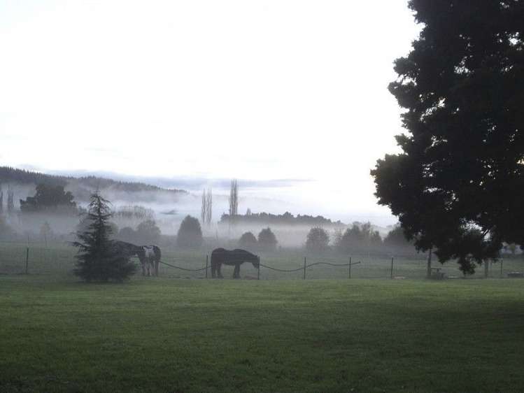 304 Wakefield-Kohatu Highway Wakefield_17