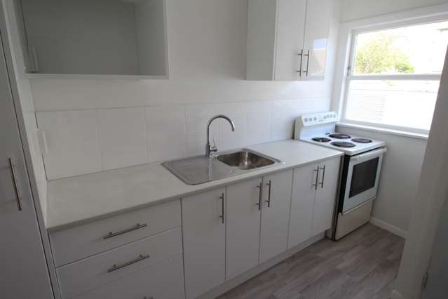 2/11 Pascal Street Central - Palmerston Nth_1