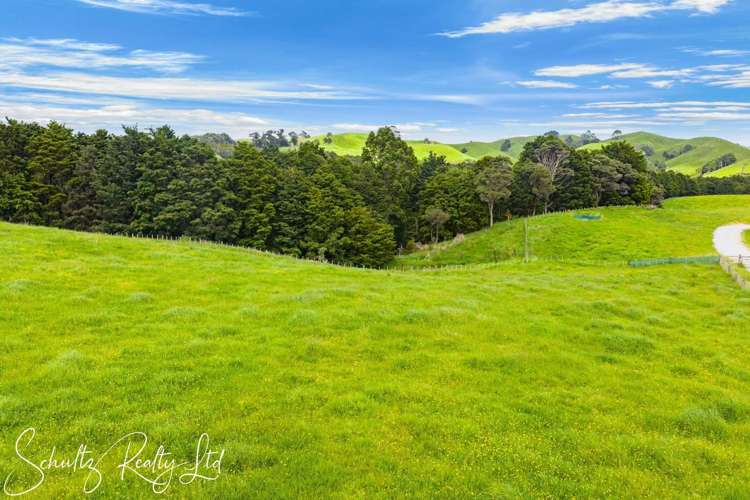 523B Golden Stairs Road Maungaturoto_19