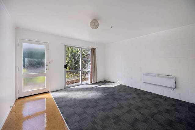 11B Hope Street Grey Lynn_3