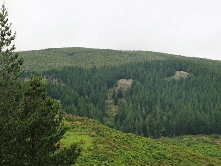 571a Mcqueens Valley Road Gebbies Valley_5