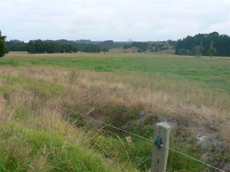 State Highway 12 Kaikohe_4