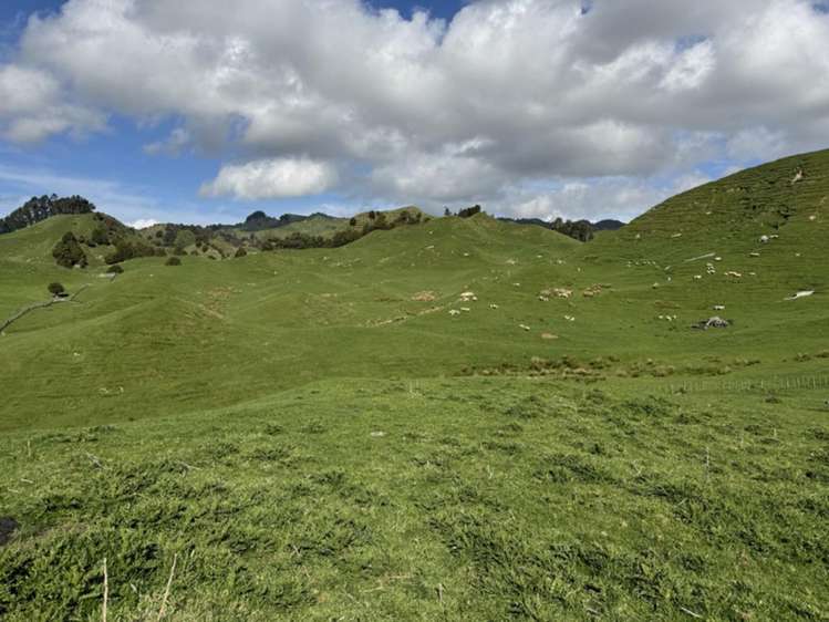 268a Tiriraukawa Road Taihape_10