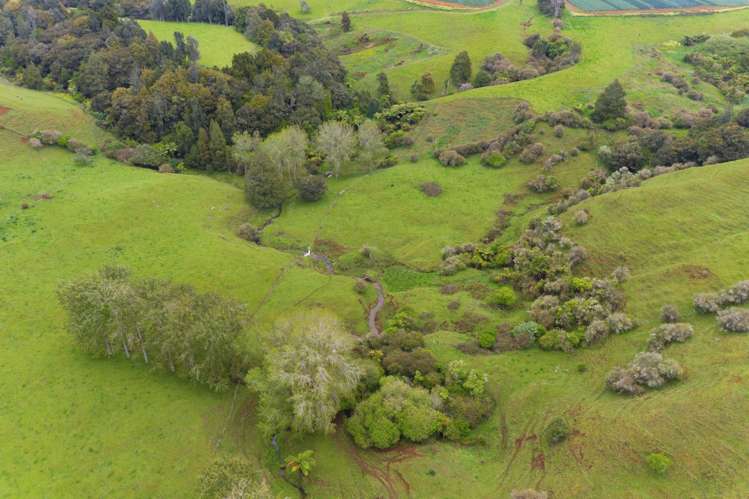 130 Parsons Road Onewhero_15