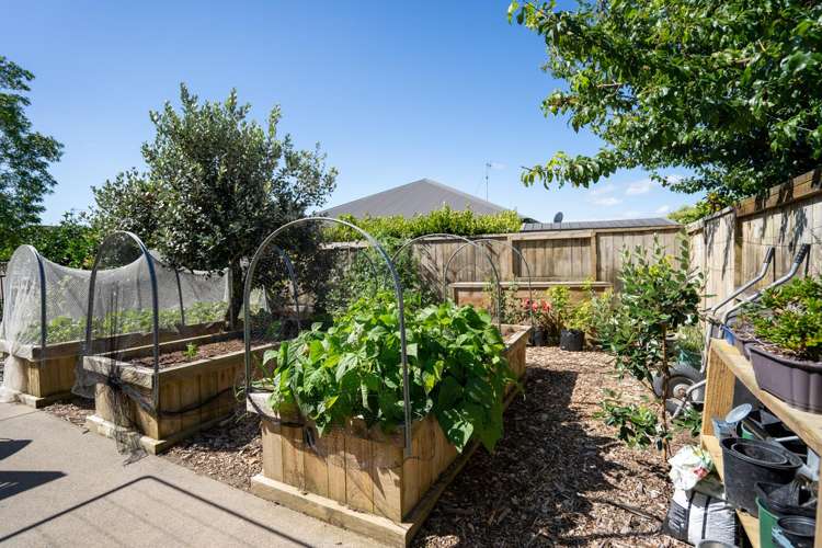 6A Madison Street Cambridge_22