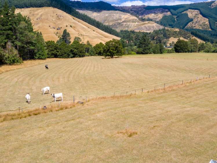 285 Tapps Road Havelock_23