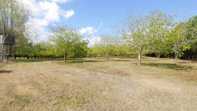 22 Guys Road Yaldhurst_12