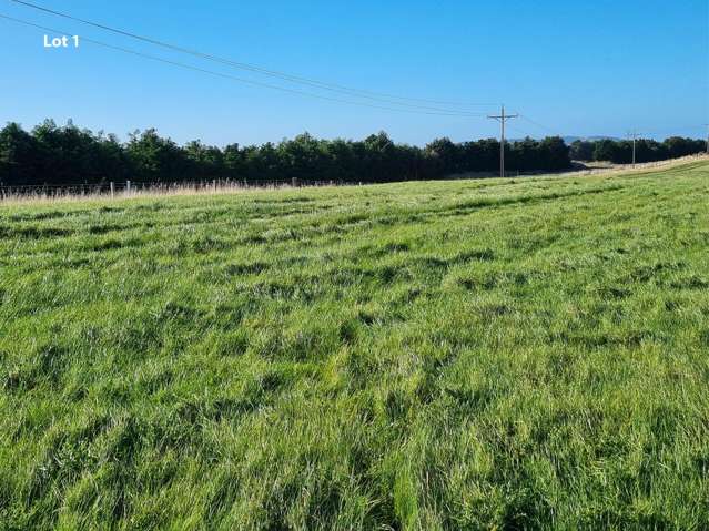 Cameron Road, Hillend Balclutha_2