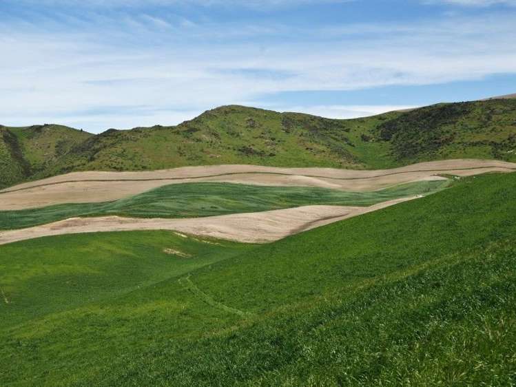 587 Eastern Road North Otago Surrounds_8