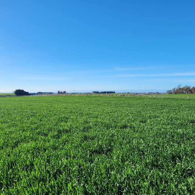 Hook School Road Waimate_2