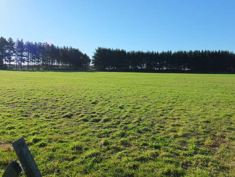 29 Edinburgh Terrace Foxton Beach_11