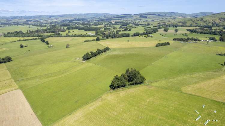 43 Taumata Island Road Carterton_10