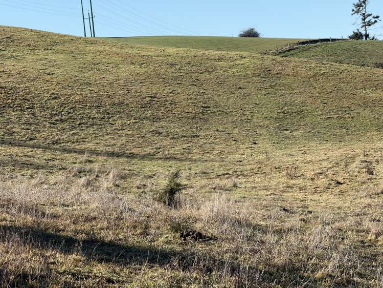 9 Cypress Lane Balclutha_4