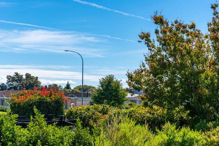 6 Newall Avenue Stoke_13