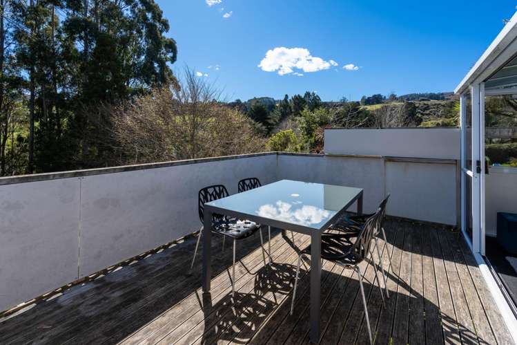 411 Pine Hill Road Pine Hill_19