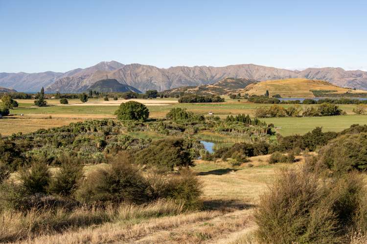 16 Emerald Bluffs Lane Glendhu Bay_6
