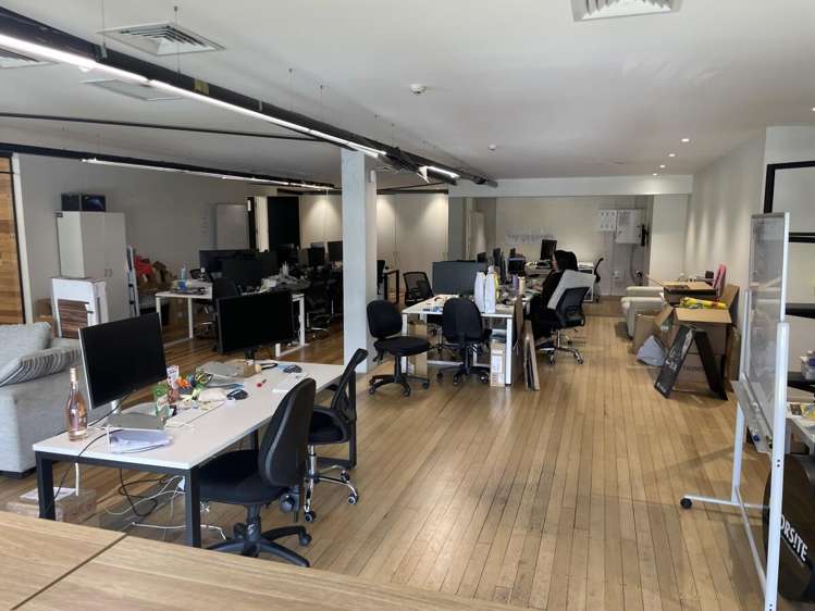 14 McDonald Street Morningside_6