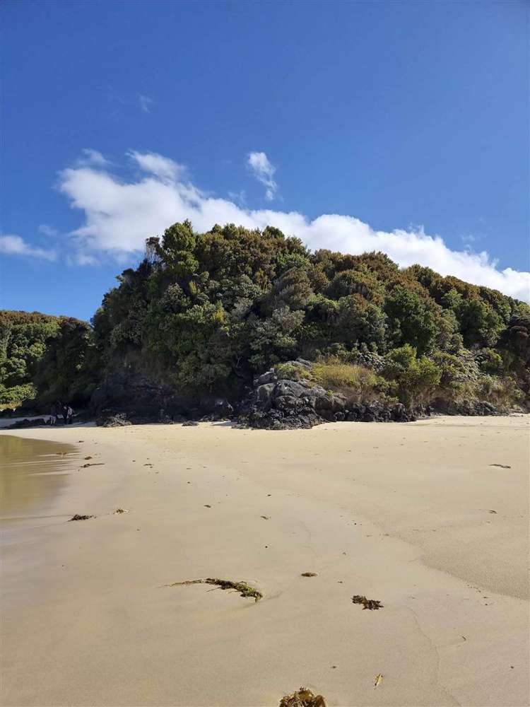 7c Kamahi Road Halfmoon Bay_9