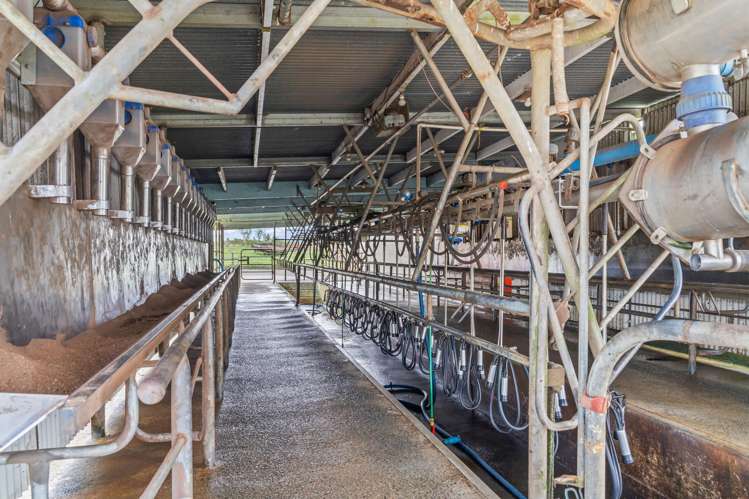 89 Jones Road Donnellys Crossing_8