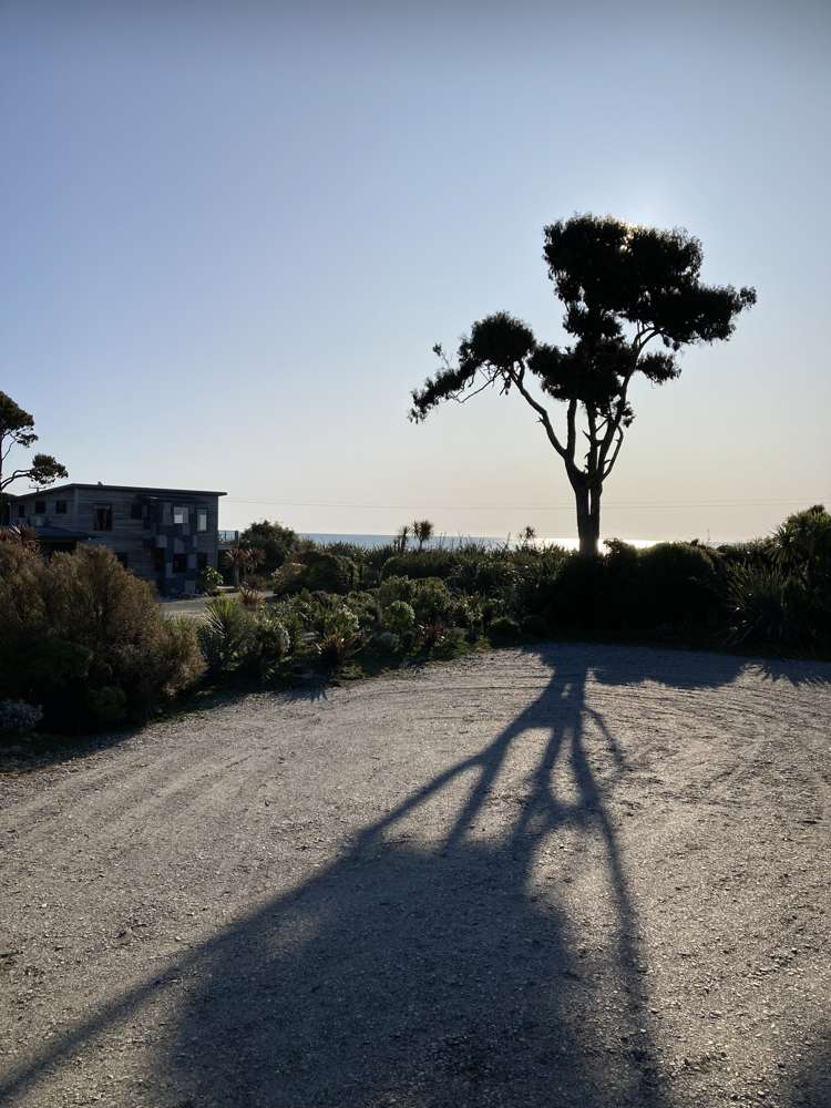 Hannahs Clearing Jackson Bay_9