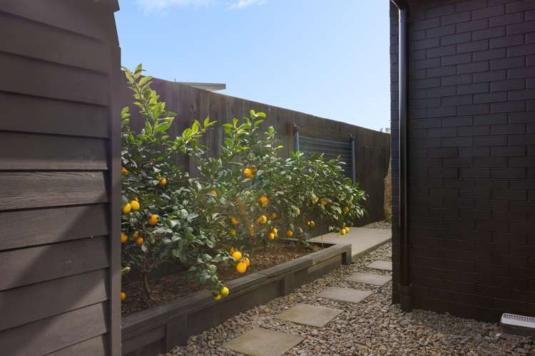 20 Santa Cruz Drive Papamoa_28